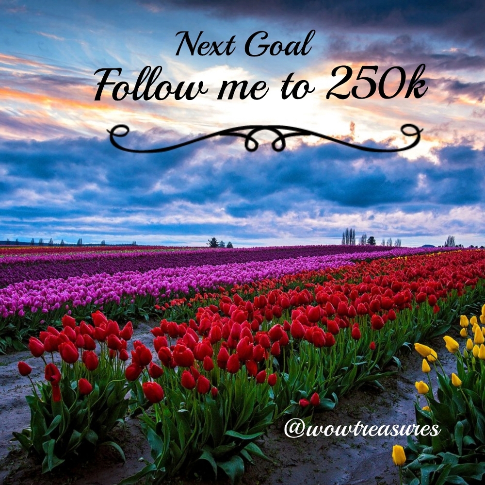 Follow Me to 250k! Thank You for Your Support! - Picture 10 of 12